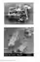Fig. 01 - IMPLANTABLE DEVICES FOR TREATING HIV