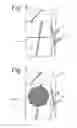 Fig. 04 - Steam and platen toasting device