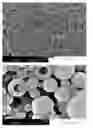 Fig. 02 - Ceramic encapsulation by use of one or more specialized silanes to template oil in an oil in water emulsion