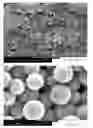Fig. 03 - Ceramic encapsulation by use of one or more specialized silanes to template oil in an oil in water emulsion