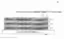 Fig. 01 - Nanotube-based nanomaterial membrane