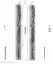 Fig. 08 - Nanotube-based nanomaterial membrane