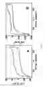 Fig. 02 - Platinum adlayered ruthenium nanoparticles, method for preparing, and uses thereof
