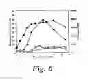Fig. 07 - Methods and compositions for the identification of antibiotics that are not susceptible to antibiotic resistance