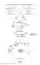 Fig. 08 - Methods and compositions for the identification of antibiotics that are not susceptible to antibiotic resistance
