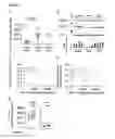 Fig. 02 - PREDICTION OF ANTIVIRAL THERAPY RESPONSE