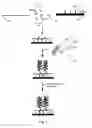 Fig. 02 - Two stage nucleic acid amplification using an amplification oligomer