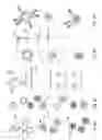 Fig. 09 - Two stage nucleic acid amplification using an amplification oligomer