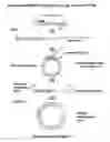 Fig. 06 - Unrestricted mutagenesis and cloning methods