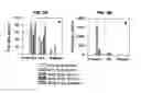 Fig. 03 - Methods for predicting pregnancy outcome in a subject by hCG assay