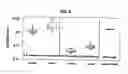 Fig. 06 - Methods for predicting pregnancy outcome in a subject by hCG assay