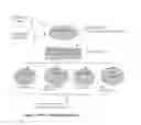 Fig. 02 - Methods for diagnosing heart failure and other cardiac diseases