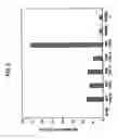 Fig. 04 - Method for detecting lysosomal storage diseases