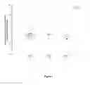 Fig. 02 - METHOD OF CLASSIFYING HUMAN SUBJECTS HAVING ADOLESCENT IDIOPATHIC SCOLIOSIS (AIS) AND METHOD FOR SCREENING FOR A COMPOUND USEFUL IN THE TREATMENT OF AIS AND RELATED SYNDROMES CAUSING SPINAL DEFORMITIES