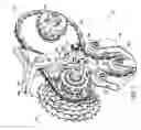 Fig. 02 - Chain tensioner