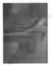 Fig. 09 - Treating Insulin Secreting Cells