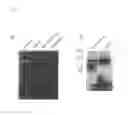 Fig. 04 - Method for screening candidate compounds for antitumor drug