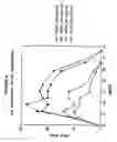 Fig. 06 - ALLOGENEIC VACCINE AND METHODS TO SYNTHESIZE SAME