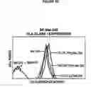 Fig. 09 - ALLOGENEIC VACCINE AND METHODS TO SYNTHESIZE SAME