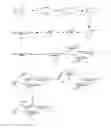 Fig. 01 - GLYCOMIMETIC REPLACEMENTS FOR HEXOSES AND N-ACETYL HEXOSAMINES