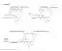 Fig. 07 - Fluorescent calcium indicators that are ratiometric and emit in the red spectrum