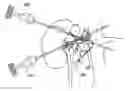 Fig. 01 - External autonomic modulation