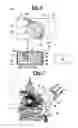 Fig. 04 - Ultrasonic apparatus for measuring a labor progress parameter