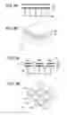Fig. 07 - ULTRASONIC PROBE AND METHOD OF PREPARING ULTRASONIC PROBE