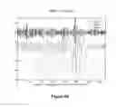 Fig. 05 - Systems and methods for quantitatively characterizing slow wave activities and states in sleep