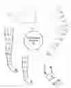 Fig. 01 - Trim-to-fit therapeutic compression garment system and method