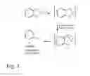 Fig. 02 - Thiadiazole Compounds and Uses Thereof