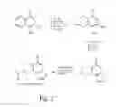 Fig. 03 - Thiadiazole Compounds and Uses Thereof