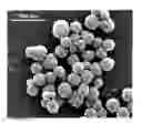 Fig. 01 - Calciumphosphate-based nanoparticles as carrier-systems for photodynamic therapy