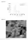 Fig. 04 - Calciumphosphate-based nanoparticles as carrier-systems for photodynamic therapy