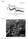 Fig. 06 - Calciumphosphate-based nanoparticles as carrier-systems for photodynamic therapy