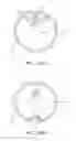 Fig. 28 - Shapeable or Steerable Guide Sheaths and Methods for Making and Using Them