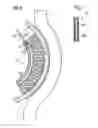 Fig. 06 - Stimulation of penis erection