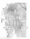 Fig. 05 - Method and system for transmitting and/or receiving at least one location reference, enhanced by at least one focusing factor