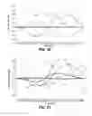 Fig. 19 - METHODS AND APPARATUS FOR DIAGNOSING FAULTS OF A VEHICLE