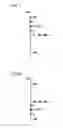 Fig. 07 - Apparatus for calculating state of charge, method of calculating state of charge, and electric system