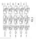 Fig. 03 - Electroencephalogram (EEG) cluster electrodes