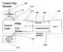 Fig. 01 - Inserting branding elements