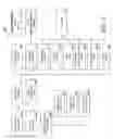 Fig. 03 - Methods, apparatus and systems for displaying and/or facilitating interaction with secure information via channel grid framework