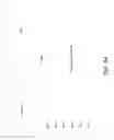 Fig. 07 - Viewing and Recording Streams