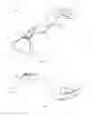 Fig. 02 - Fabric care device
