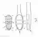 Fig. 12 - Toothbrush and process for producing the same
