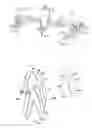 Fig. 10 - Fishing pole grip