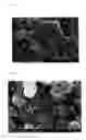 Fig. 08 - Bifunctional Catalyst for Decomposition and Oxidation of Nitrogen Monoxide, Composite Catalyst Including the Same for Apparatus to Decrease Exhaust Gas, and Method for Preparation Thereof