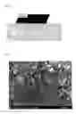 Fig. 09 - Bifunctional Catalyst for Decomposition and Oxidation of Nitrogen Monoxide, Composite Catalyst Including the Same for Apparatus to Decrease Exhaust Gas, and Method for Preparation Thereof