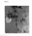 Fig. 06 - Method and capacitive sensor for counting aerosol nanoparticles